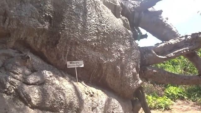 Фото со спящим Драконом смотреть онлайн