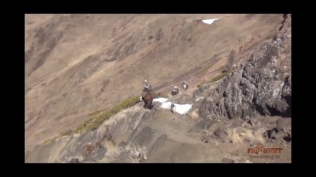 Охота на волка в горах смотреть онлайн