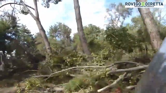 Albarella - 10 agosto 2017 il downburst che ha sconvolto l'isola. il giorno dopo ad Albarella смотреть онлайн