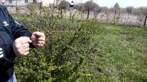 Поиск воды с помощью рамок