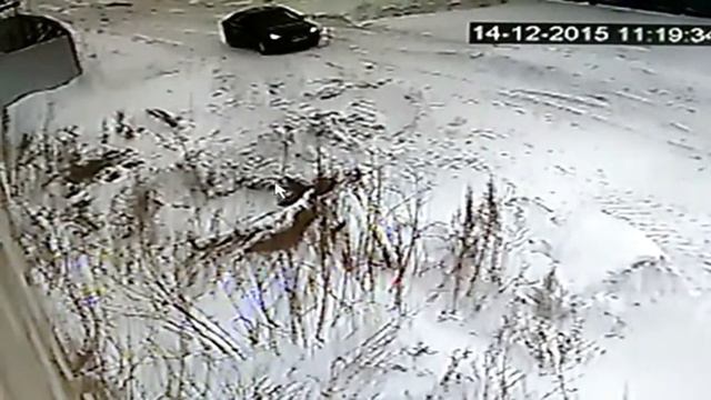 без звука ''мерин'' немая тишина аудио сопровождение смотреть онлайн