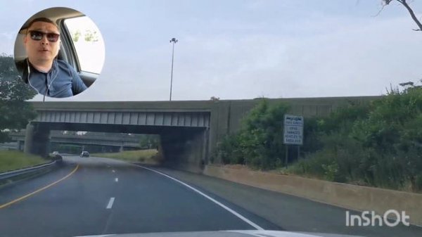 Лебединая верность. кавер!