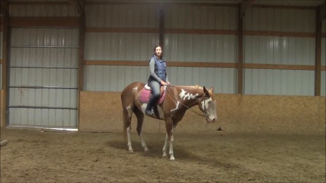 Equitation - Finding a Diagonal without Looking смотреть онлайн