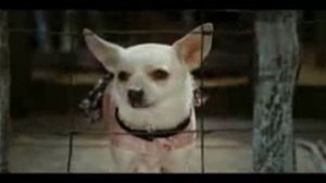 Крошка из Беверли Хиллз