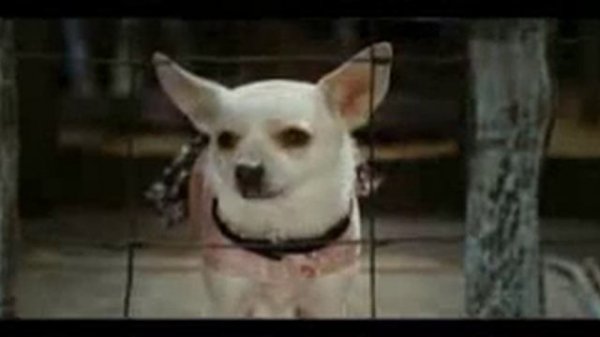 Крошка из Беверли Хиллз