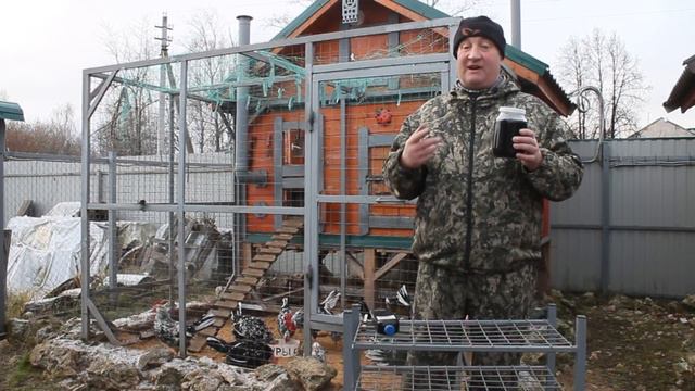 ПОЮ КУР БЕРЕЗОВЫМ ДЕГТЕМ. Старинные секреты птицеводства. смотреть онлайн