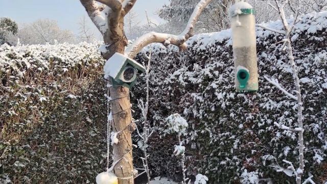 Дача как в сказке зимой #дача