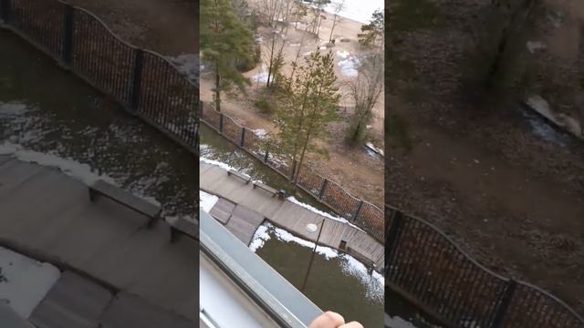 [Москитные сетки] Замер москитной сетки. Оконка. смотреть онлайн