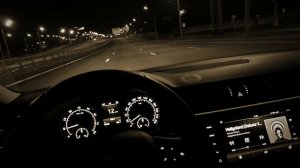 ЛИСИЦЫН - БЕЗ НЕЁ