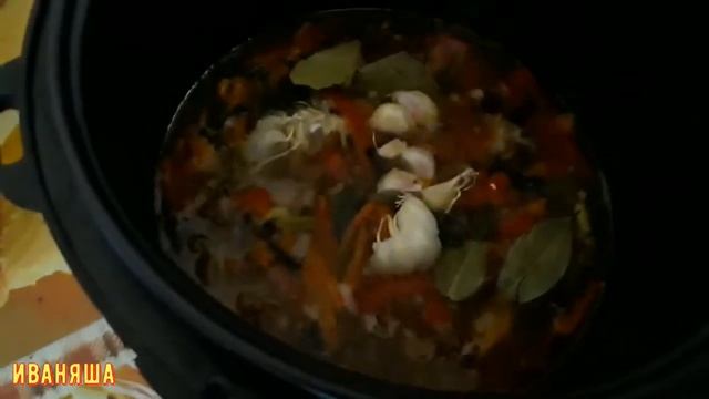 Цирковые Представления и Шоу