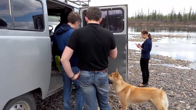 Наглый пёс😁 Моркока 9.06.17 смотреть онлайн