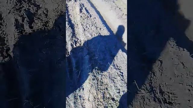 Дороги в Егорлыке.. смотреть онлайн