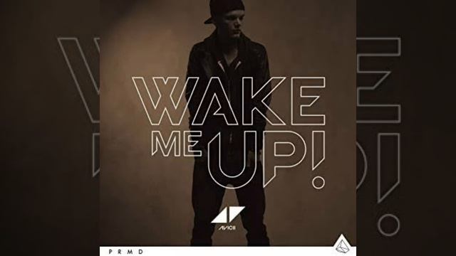 Avicii Ft. Aloe Blacc - Wake Me Up W/ Lay Me Down Avicii By Avicii (Bryan Walker Edit)