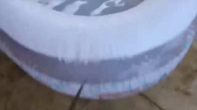 Как научить ребенка плавать, а рыбу ездить на автомобиле! смотреть онлайн