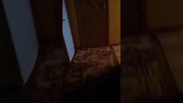 Обзор запускалки,дома смотреть онлайн