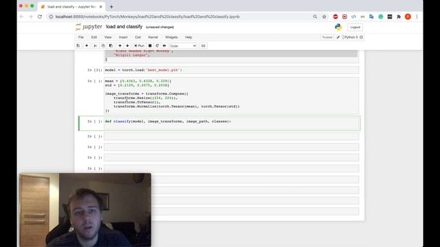 [7] Load the model and classify a single image in PyTorch смотреть онлайн