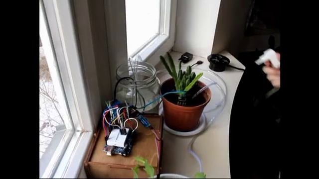 Автономная система полива комнатных растений смотреть онлайн