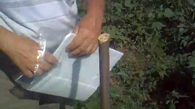 Установка феромонной ловушки смотреть онлайн