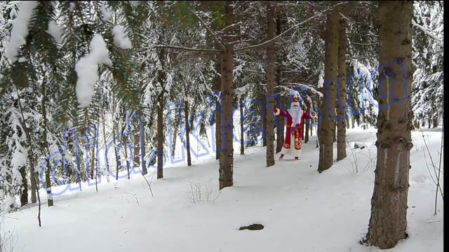 Поющий Дед Мороз идет в Киев смотреть онлайн