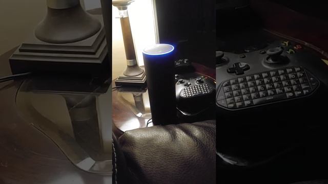 Decided to ask Alexa the value of Pi смотреть онлайн