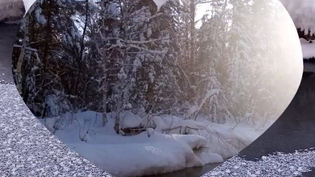 Зарисовка зимний лес смотреть онлайн