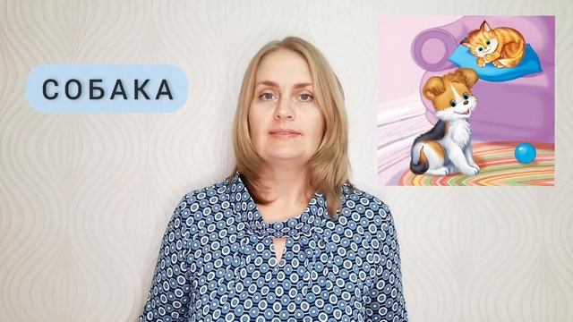 Словесная феерия стихов