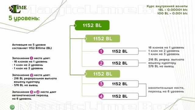 Lime бонусно-накопительная программа компании Magic Lime Academy  по партнерской программе