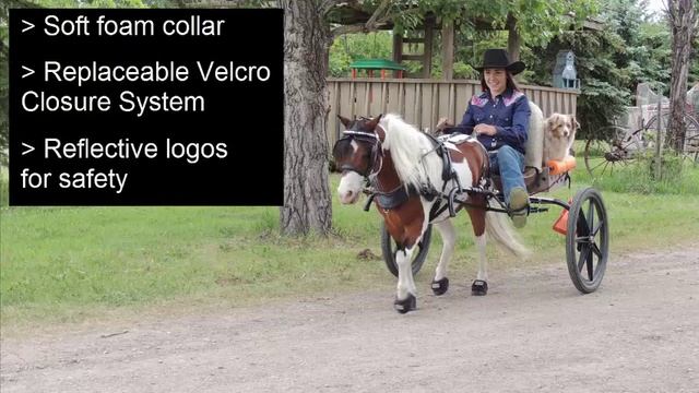 Introducing The Cavallo Cute Little Boot (CLB) For Minis Horses!