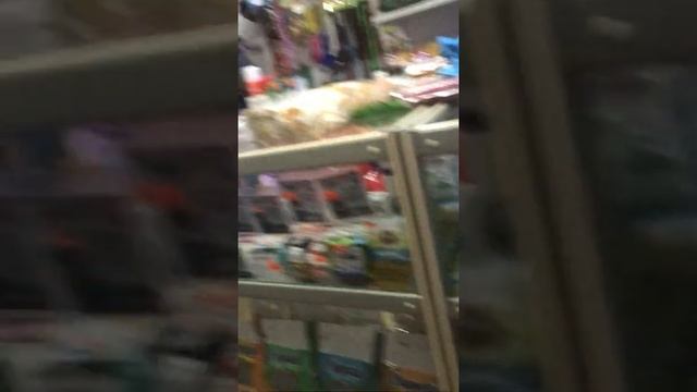 2 часть| идём в готовиться к покупке крыс! Часть 2. смотреть онлайн