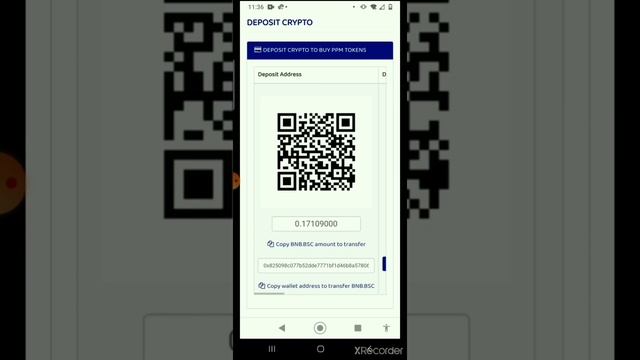Punk Panda (How to purchase PPM pre sale) смотреть онлайн