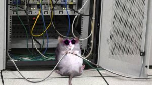 Курс - "Системный администратор" Урок 14