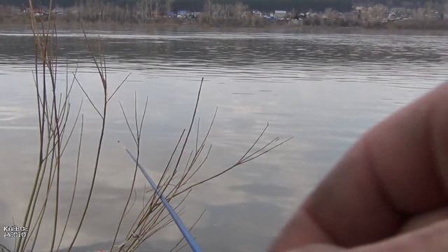 Рыбалка на Томи Кемерово 2022 чайка смотреть онлайн