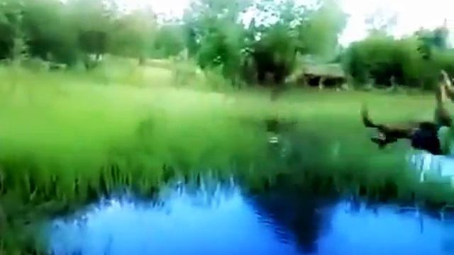 Пьяные на тарзанке ! Смешно ! смотреть онлайн