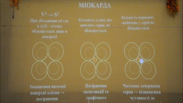 Патологічна фізіологія №5 (Патофізіологія серцево-судинної системи) смотреть онлайн