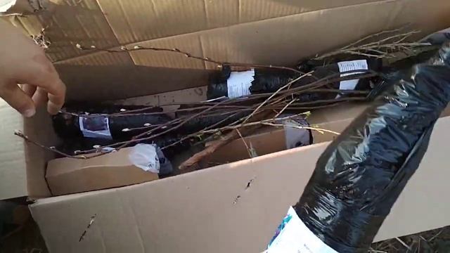 Распаковка посылки от Агромаркет смотреть онлайн