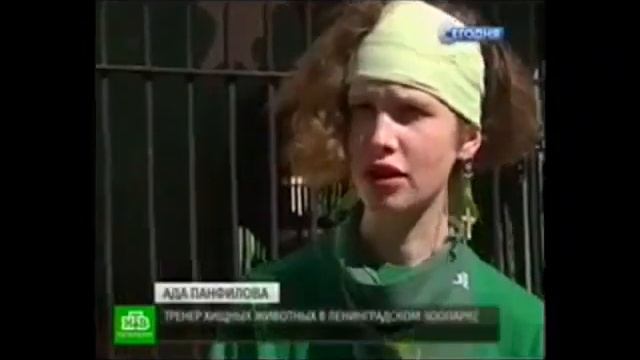 купить винтовые сваи для забора смотреть онлайн