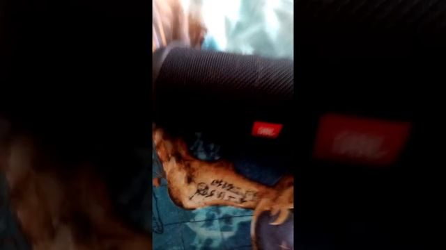 Как включить уличный режим смотреть онлайн