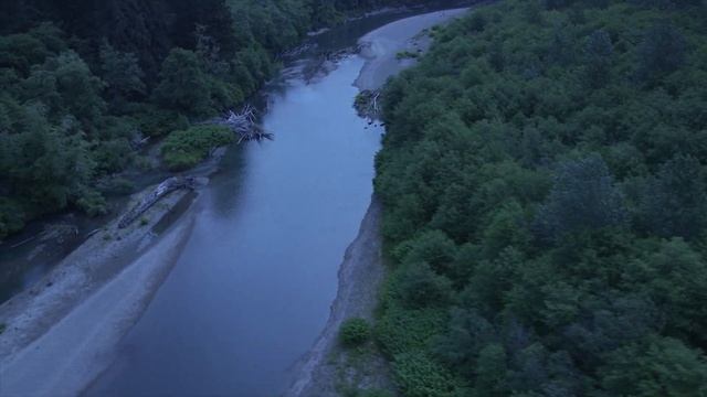 The Odd Thing About D.B. Cooper | Mossback's Northwest смотреть онлайн