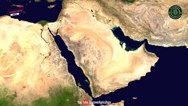 How Saudi Arabia Transformed Desert into Agricultural Farmland | Agriculture in Saudi Arabia смотреть онлайн