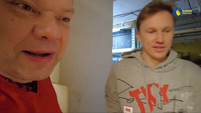 Заглянули в Акваманию смотреть онлайн