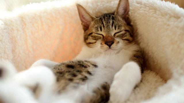 Музыка из рекламы. Просто класс! Послушайте! смотреть онлайн