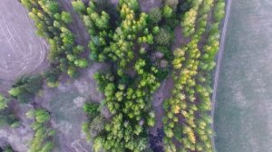 Как, когда и где вешать скворечник, синичник и т.п.