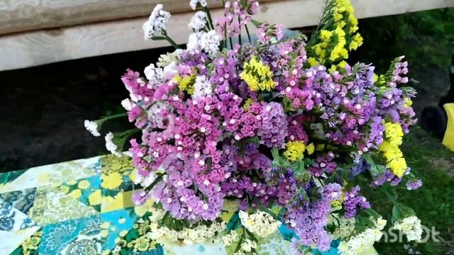 Забой уток, статица,утиный жир и просто жизнь... смотреть онлайн