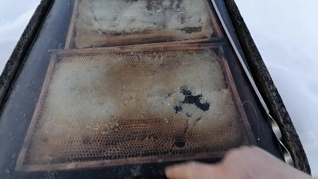 Рамки в солнечной воскотопке и парогенератор смотреть онлайн