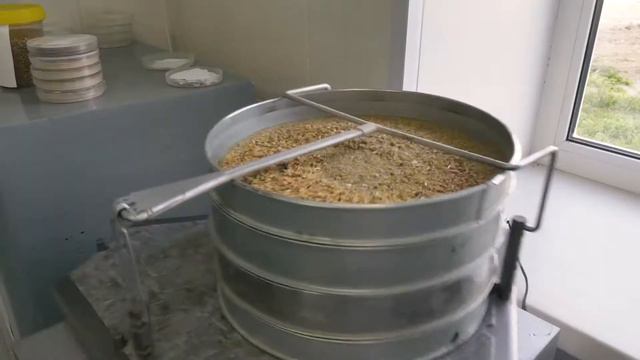 Племенной птицеводческий репродуктор Свердловский смотреть онлайн