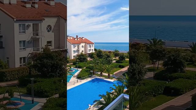 Лето 🌞 началось с милейшего вида 😁#short смотреть онлайн