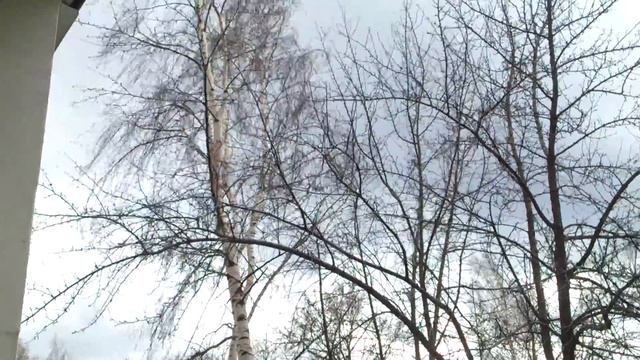 Пример видео Sony Xperia S смотреть онлайн