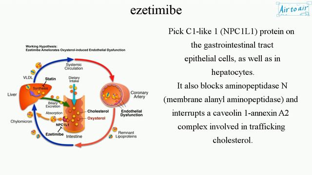 ezetimibe смотреть онлайн