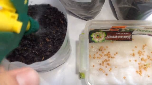 Высаживаем баклажаны на рассаду. Самый лучший способ смотреть онлайн