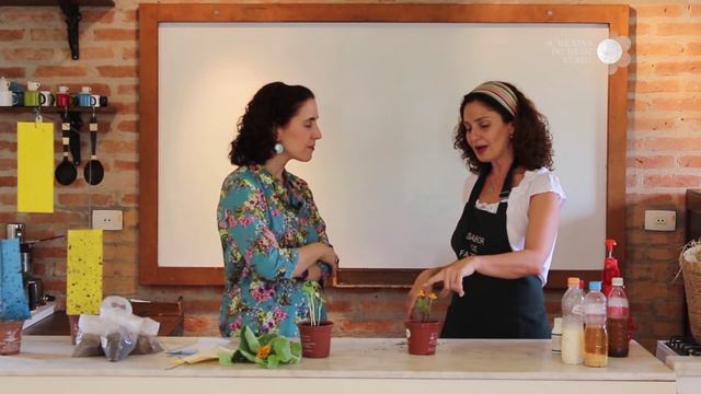 Nô Figueiredo na Sabor de Fazenda: Inseticidas Naturais e Adubação Orgânica com Silvia Jeha смотреть онлайн